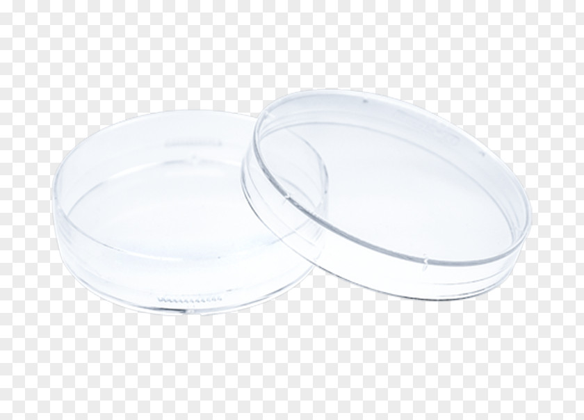Plastic Dish Glass PNG