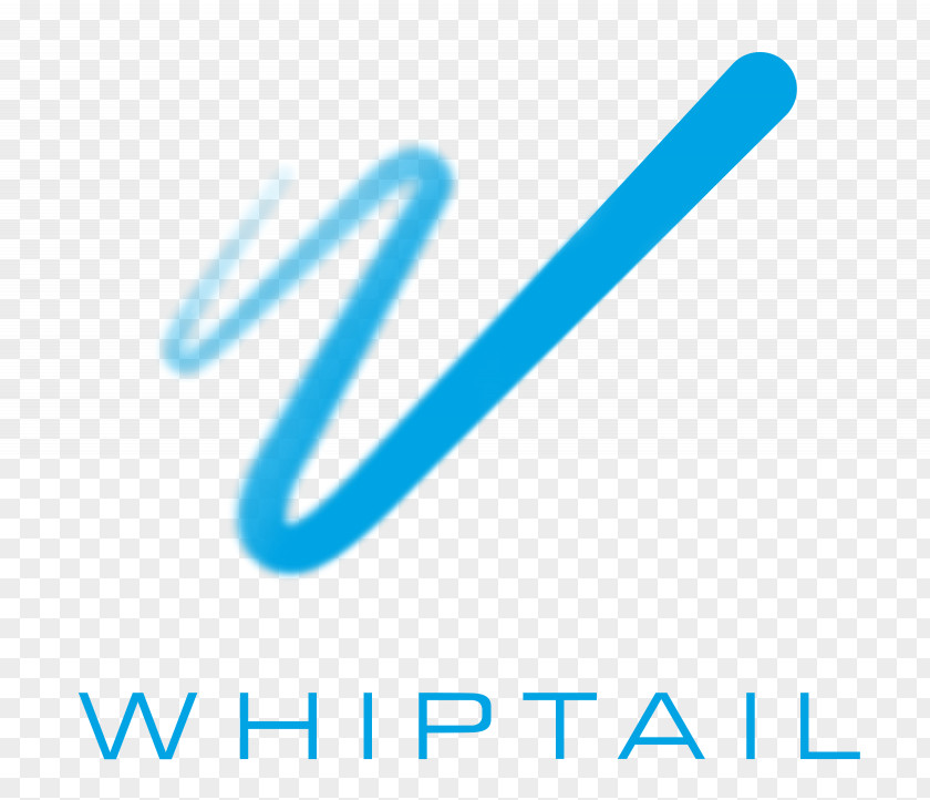 Technology Whiptail SanDisk Flash Memory Computer Data Storage PNG