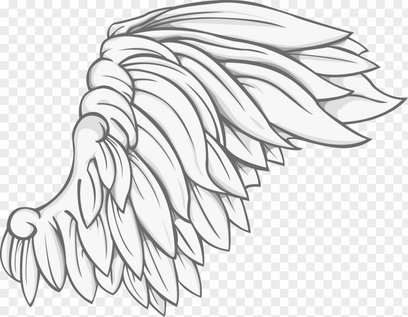 Vector Wings Drawing Royalty-free Illustration PNG