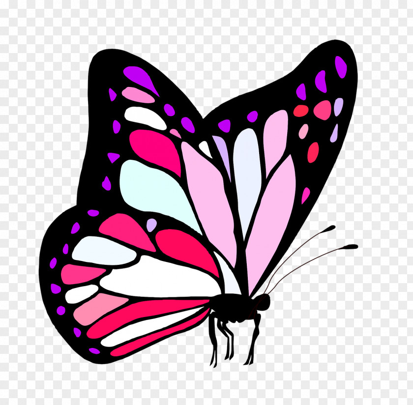 Butterfly Monarch Clip Art Image Drawing PNG