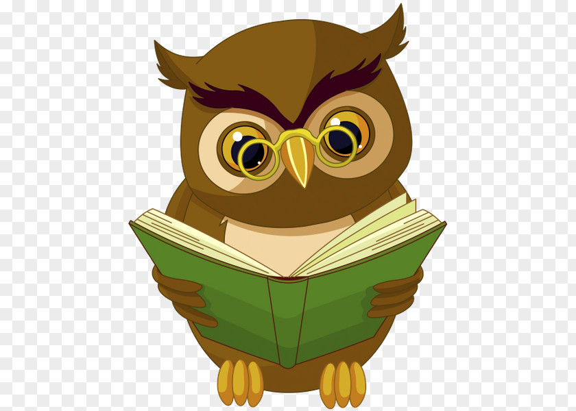 Owl Bird Animation Cartoon Clip Art PNG