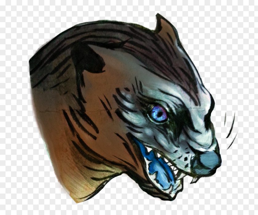 Tiger Whiskers Cat Snout PNG