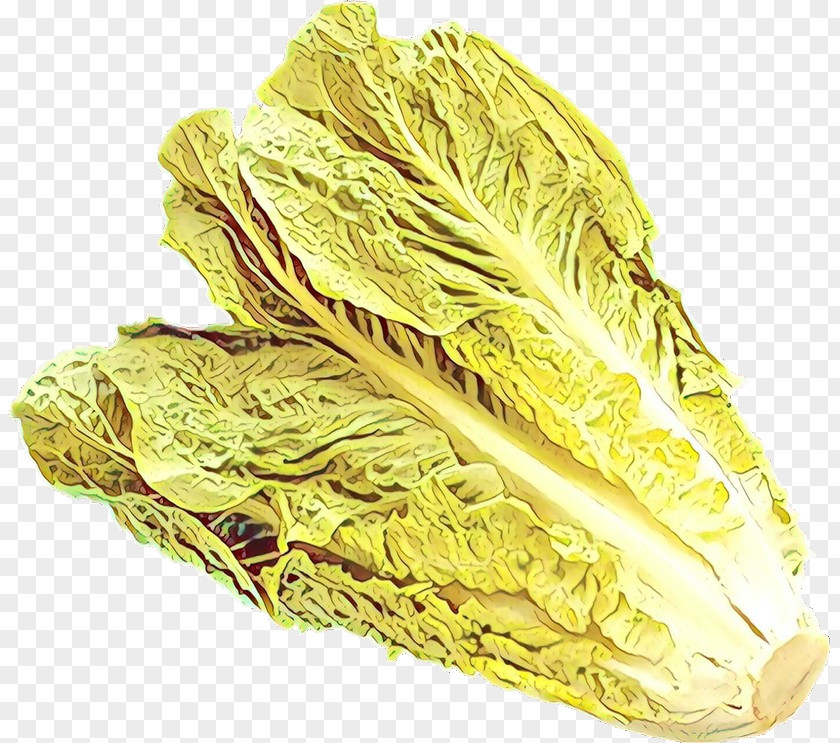 Chinese Cabbage Food Plant Vegetable PNG