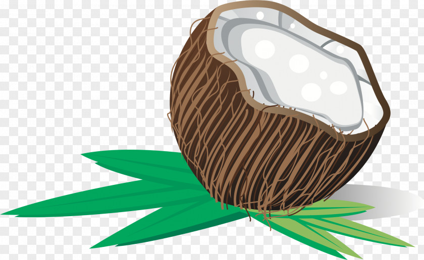 Coconut Water Milk PNG