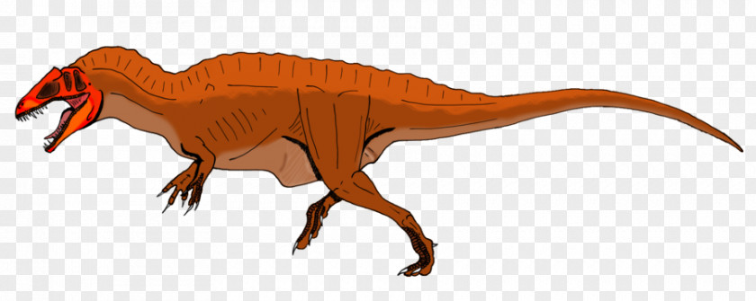 Dinosaur Tyrannosaurus Acrocanthosaurus Jurassic Park III: Builder Warpath: Velociraptor PNG