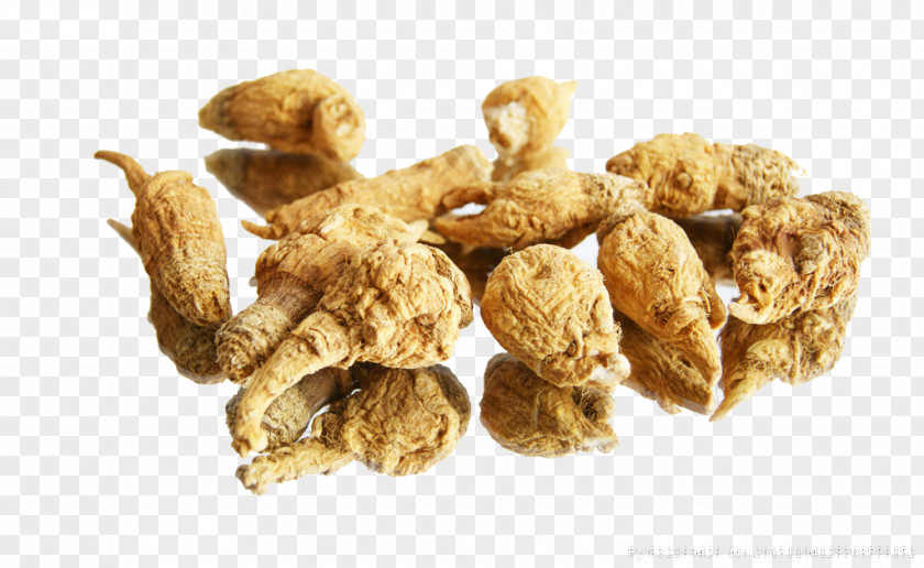 Maca Herbs Chinese Herbology PNG