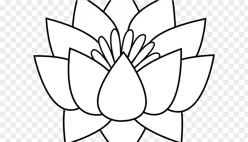 Magnolia Wildflower Black And White Flower PNG