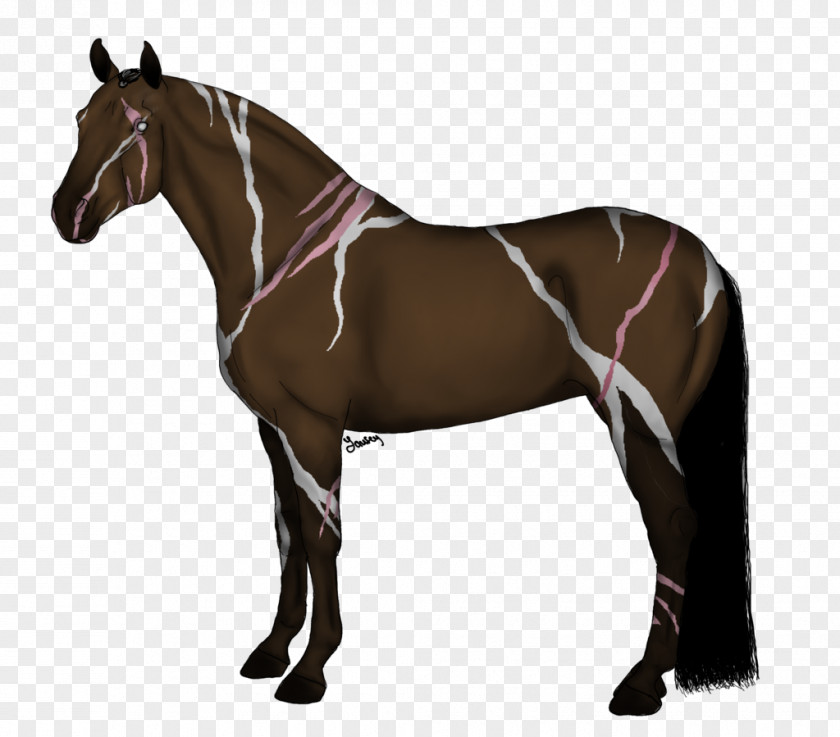 Mustang Mane Stallion Arabian Horse PNG