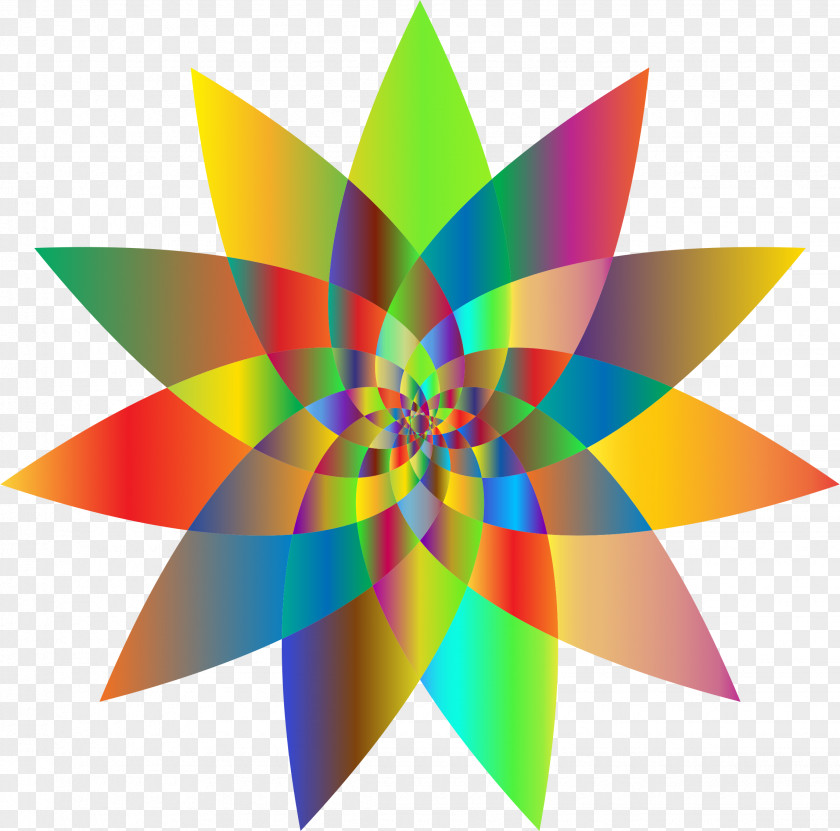Abstract Flower Line Art Graphic Design Clip PNG