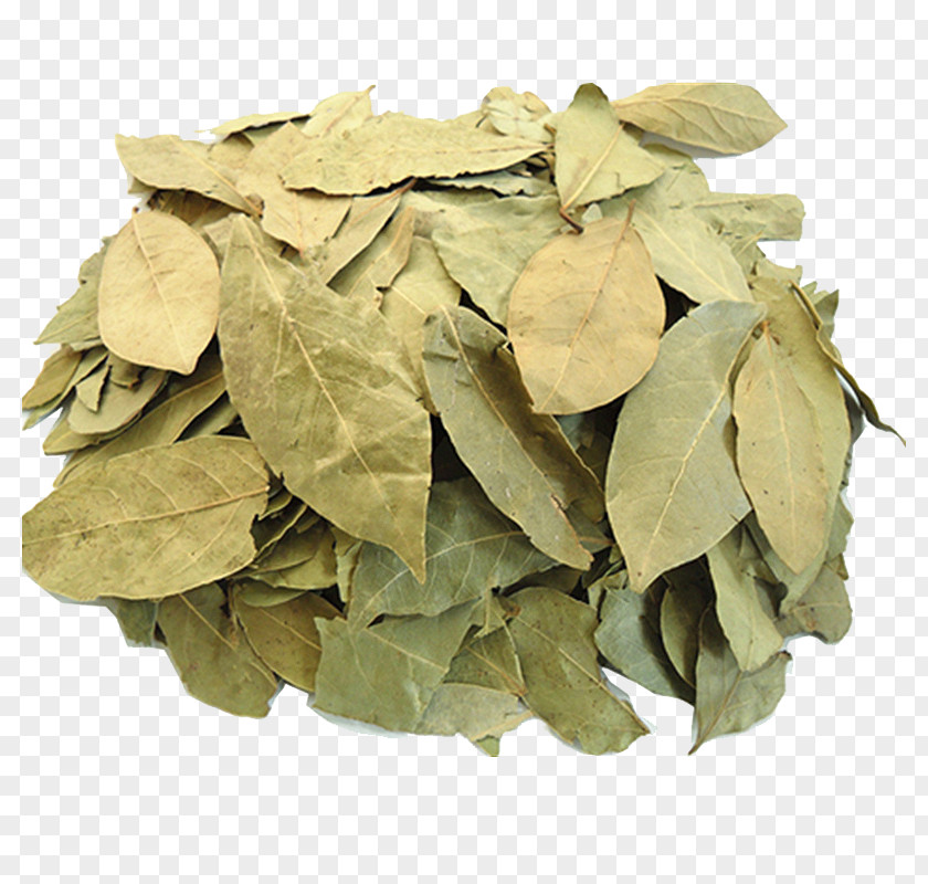 Bay Leaf Herbs Flavor Condiment Food Cooking PNG
