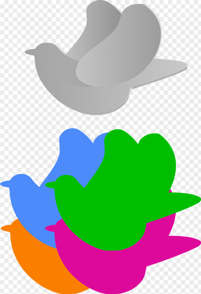 Bird Rock Dove Color Clip Art PNG