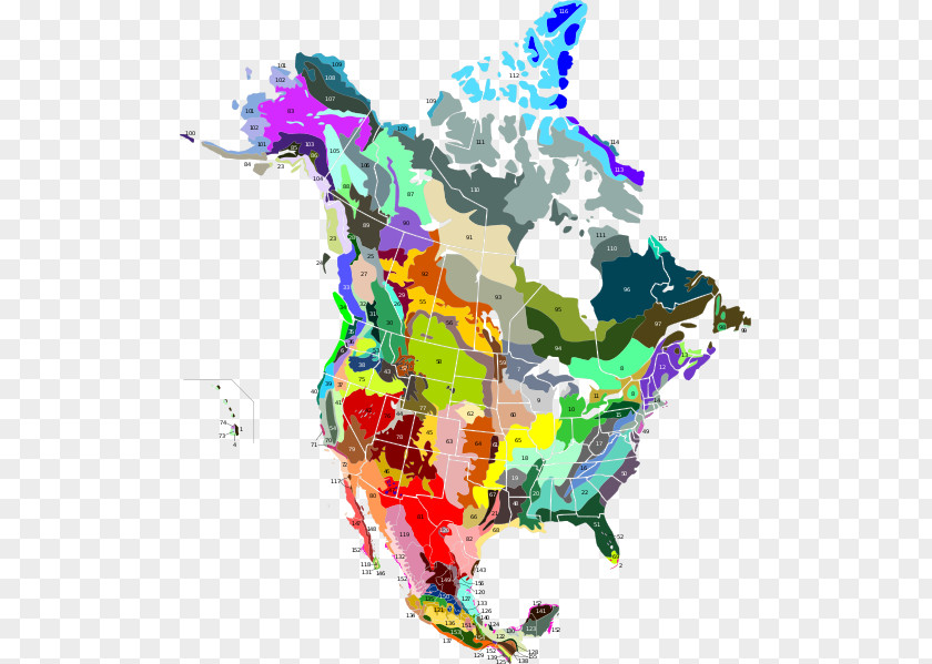 Canada United States Of America Ecoregion Taiga Puerto Rican Moist Forests PNG