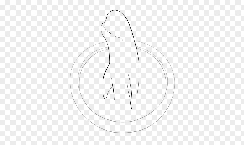 Dolphin 3d Drawing Thumb Line Art Mammal Sketch PNG