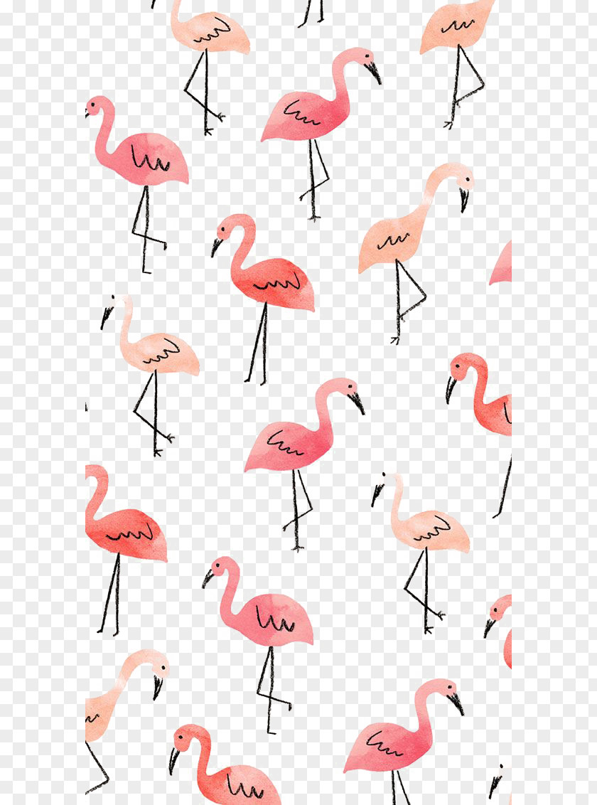 Flamingos IPhone 4S 8 5s 5c Wallpaper PNG