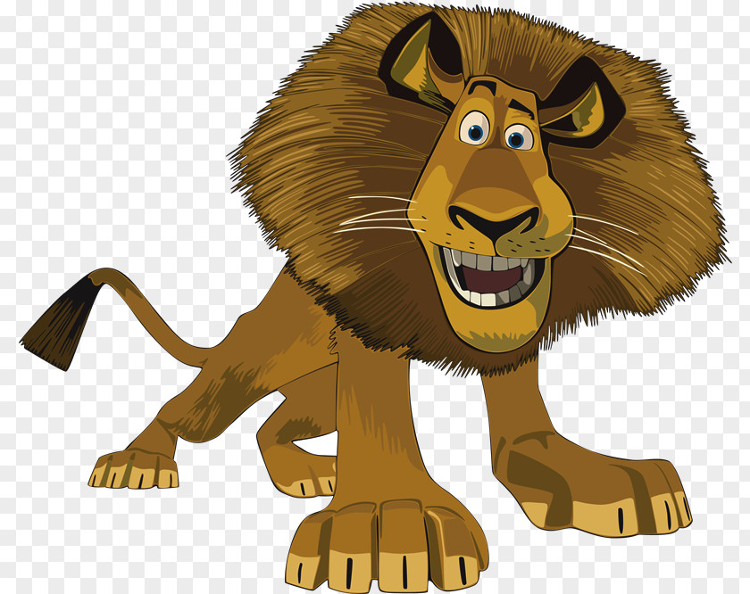 Lion Alex Madagascar Tiger Melman PNG