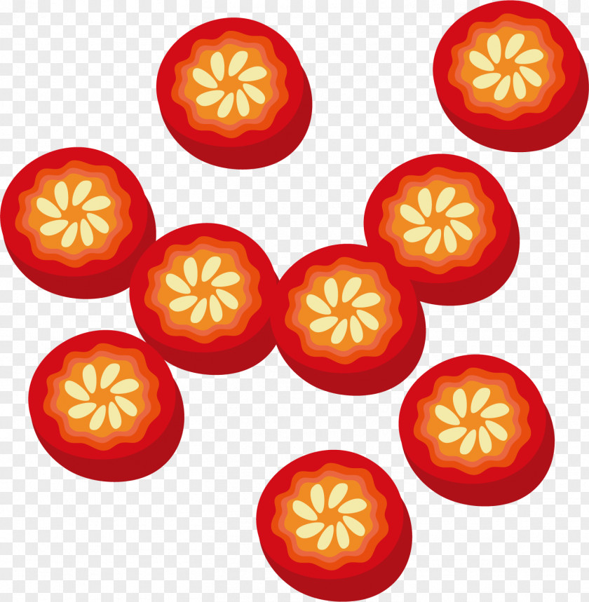 Vector Pepper Cross Section Capsicum Annuum Tomato Euclidean PNG