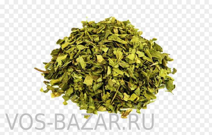 Vegetable Oregano Condiment Spice Raw Foodism Herb PNG