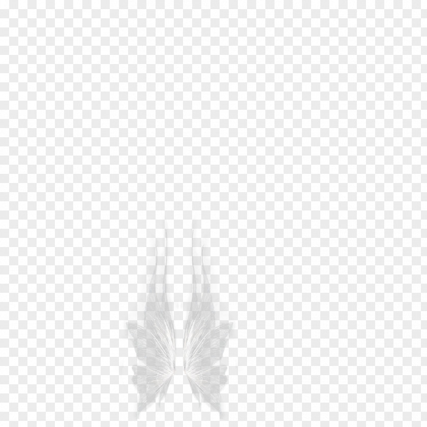 White,wing,angel,dream White Symmetry Black Pattern PNG