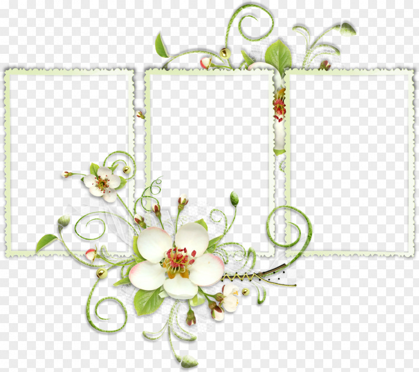 Flower Floral Design Clip Art PNG