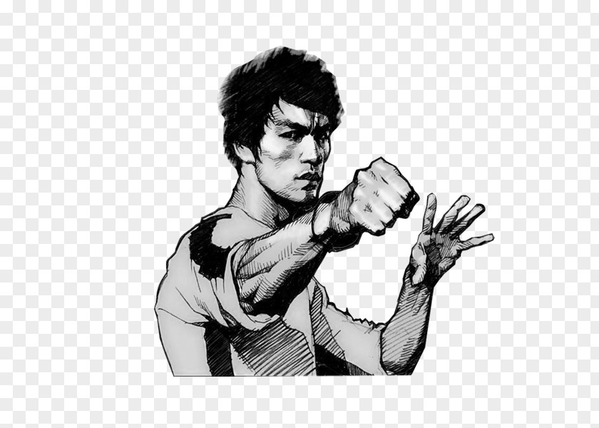 Hand-painted Bruce Lee Dragon: The Story Tao Of Jeet Kune Do Drawing PNG