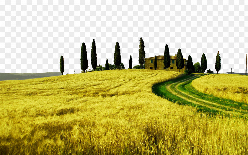 Italy Tuscany Prairie Four Landscape Photography High-definition Television Wallpaper PNG