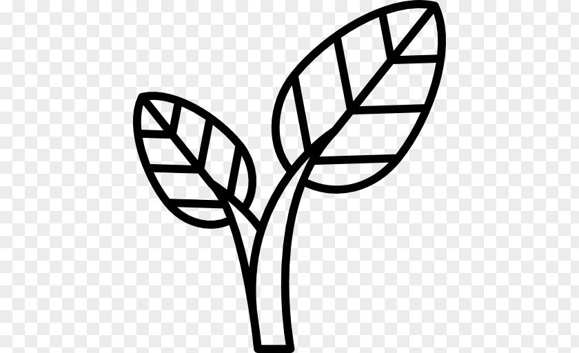 Leaf Clip Art PNG