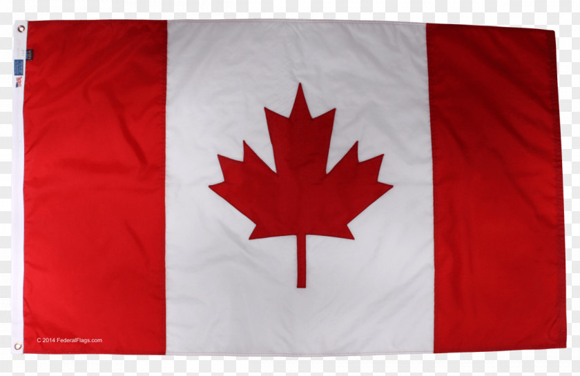 Toronto Flag Of Canada Day Citizenship Upper PNG