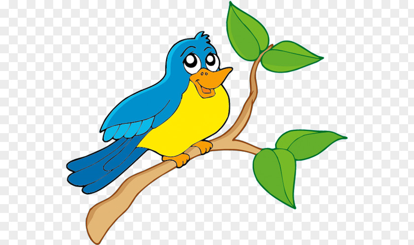 Budgie Bluebird Bird Parrot PNG