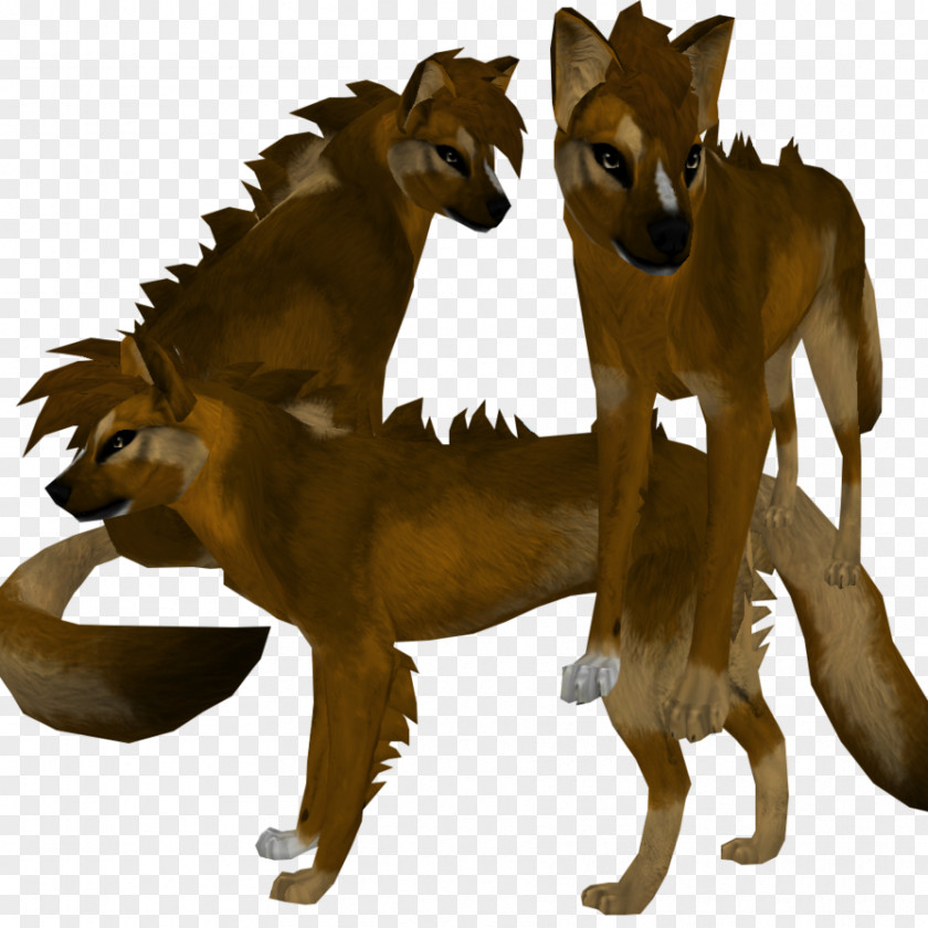 Cat Dhole Feral Dog Mammal PNG