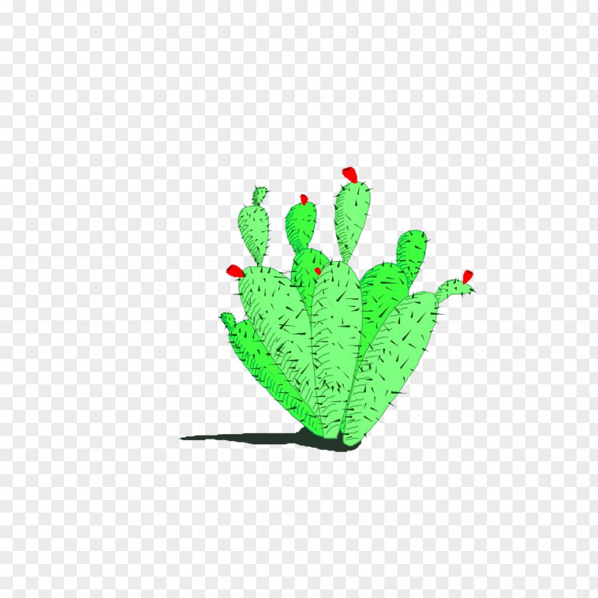 Cute Cactus Logo Design Adobe Photoshop PNG