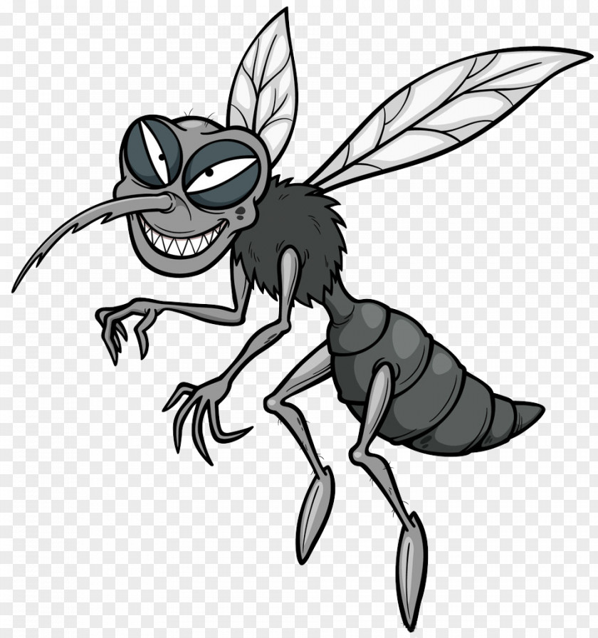 Mosquito Cartoon Stock Photography Royalty-free PNG