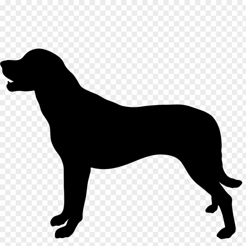 Umbrella Silhouette Labrador Retriever Arabian Horse Dog Breed Sticker Decal PNG