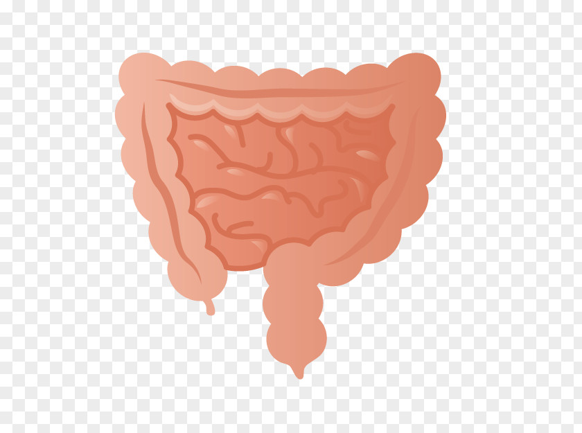Pink Peptic Ulcer Disease Medicine Cartoon PNG