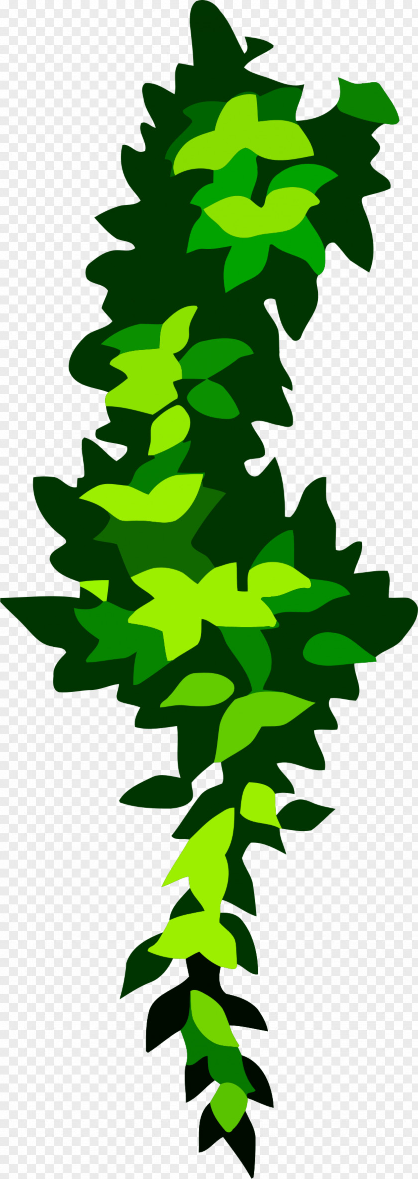 Plant Clip Art PNG