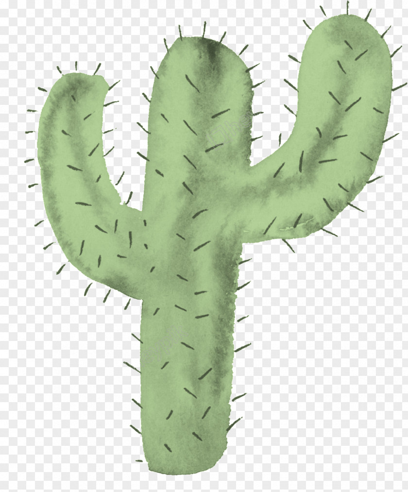Cactus Image Transparency Clip Art PNG