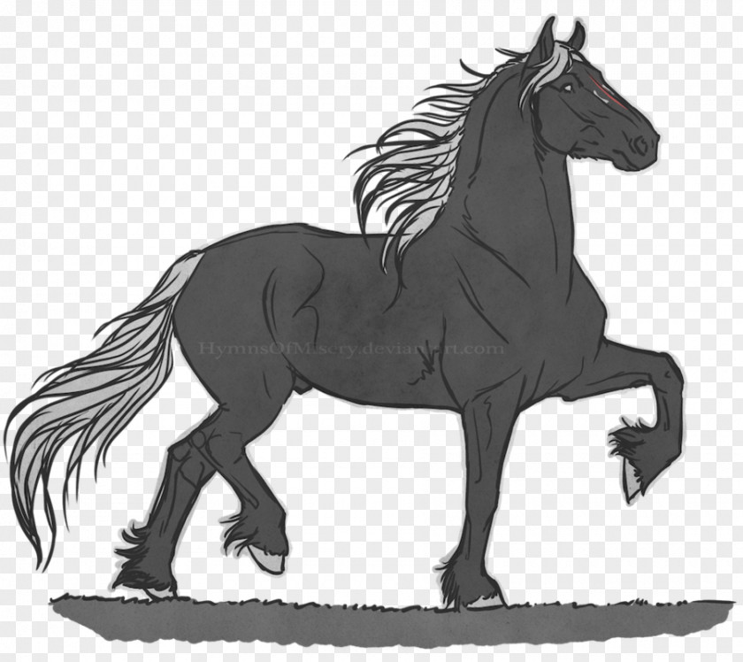 Mustang Stallion Pony Drawing Przewalski's Horse PNG