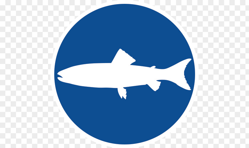 Nova Scotia Heritage Day Wikipedia Computer File Shark Traffic Sign August 27 PNG