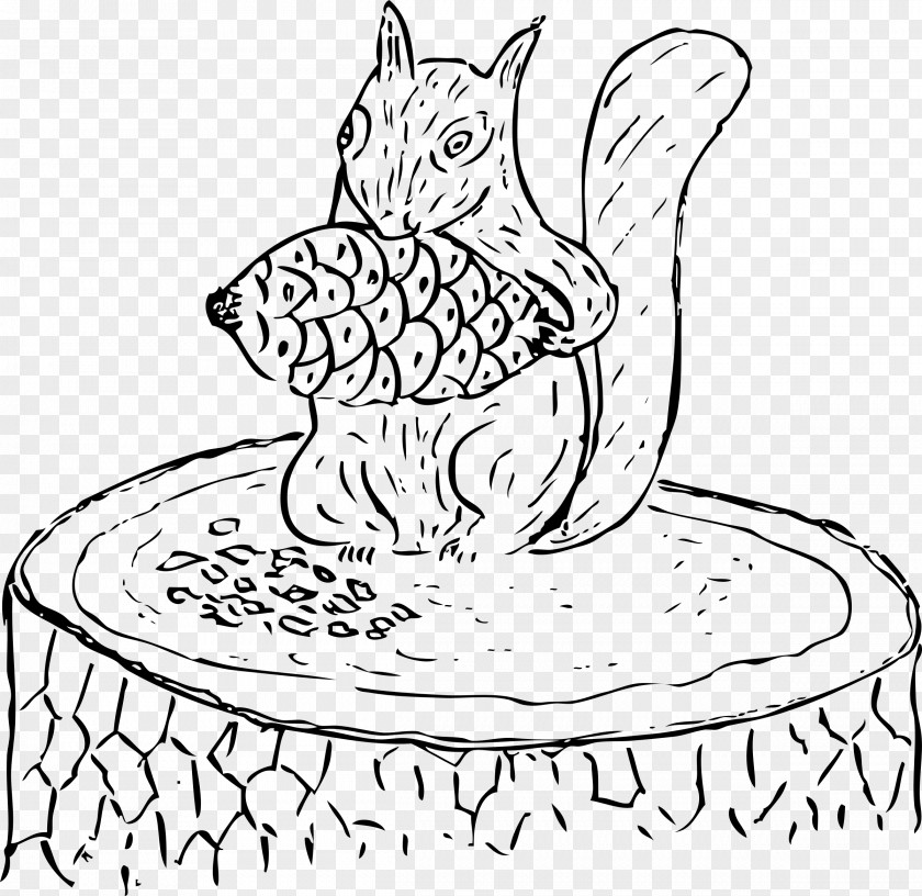 PEOPLE EATING Conifer Cone Drawing Clip Art PNG