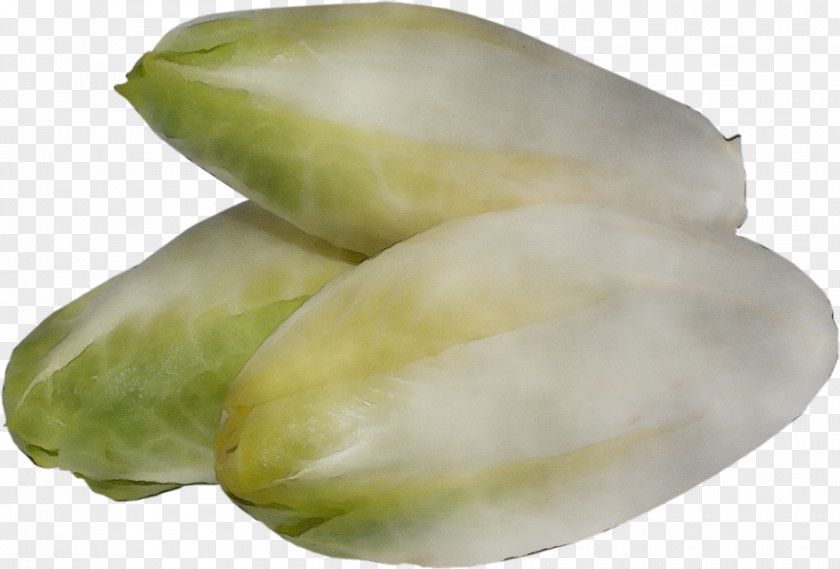 Chayote Food Watercolor Plant PNG