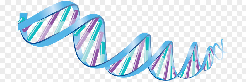DNA PNG clipart PNG