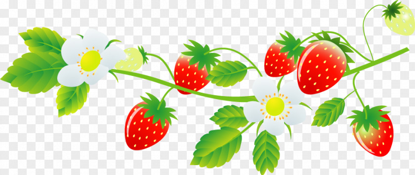 Friuts And Vegetable Strawberry Marimo Farm Food Daifuku いちご大福 PNG