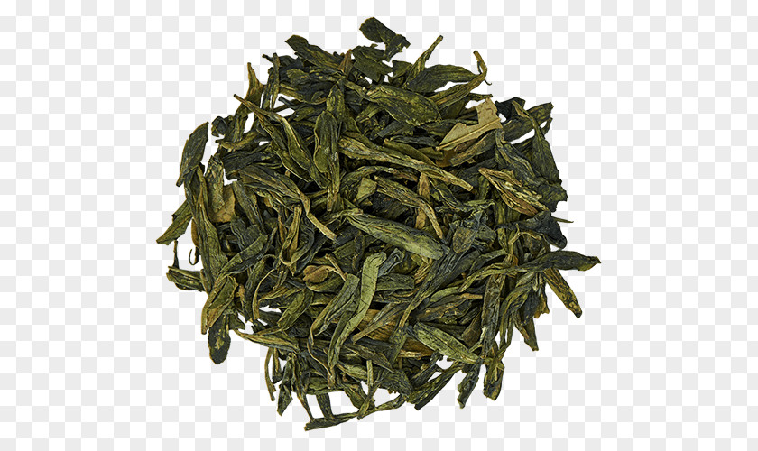 Green Tea Gyokuro Sencha Darjeeling PNG