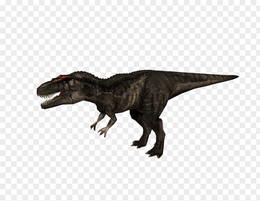 Jurassic Park Carcharodontosaurus Park: Operation Genesis Tyrannosaurus III: Builder Dilophosaurus PNG