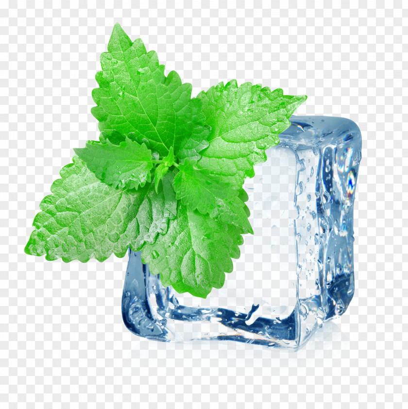 Mint Leaves Ice Iced Tea Electronic Cigarette Aerosol And Liquid Menthol PNG