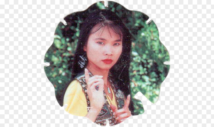 Actor Thuy Trang Trini Kwan Mighty Morphin Power Rangers 14 December PNG