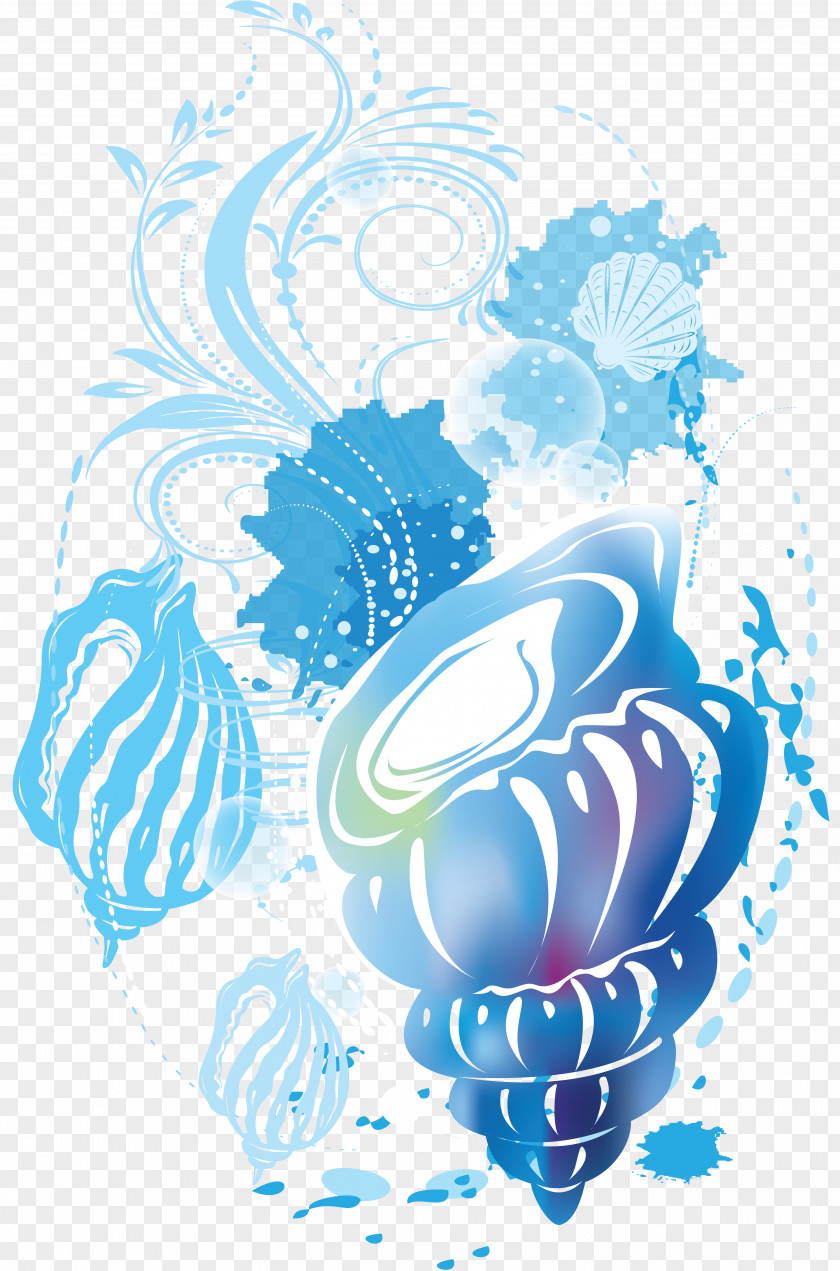 Blue Cartoon Conch Image Adobe Illustrator Poster Illustration PNG