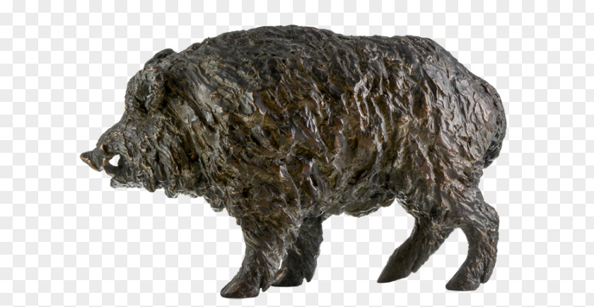 Boar Tusk Wild Bronze Sculpture Art PNG