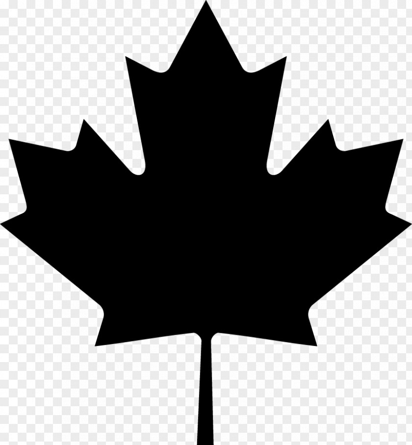 Disposable Vector Flag Of Canada Maple Leaf Clip Art PNG