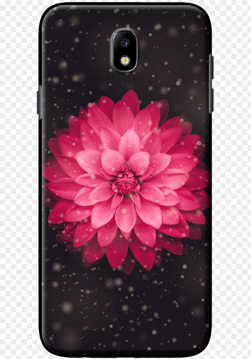 Hoa Sen IPhone 6 Plus X 8 Wallpaper PNG