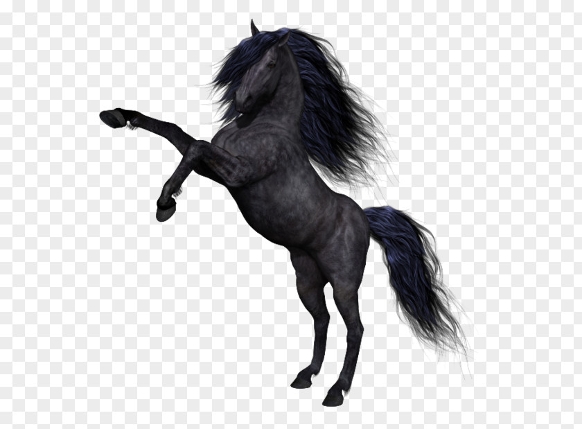 Running Horse Mustang Pony Black Clip Art PNG